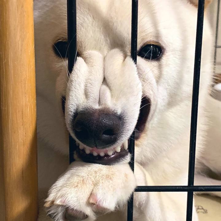 8632038e fe12 4030 9e98 c09c349bfdc0 1577764439241