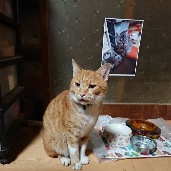 86322441 e476 4e36 8a25 3d04bd392ec9 1602276956550