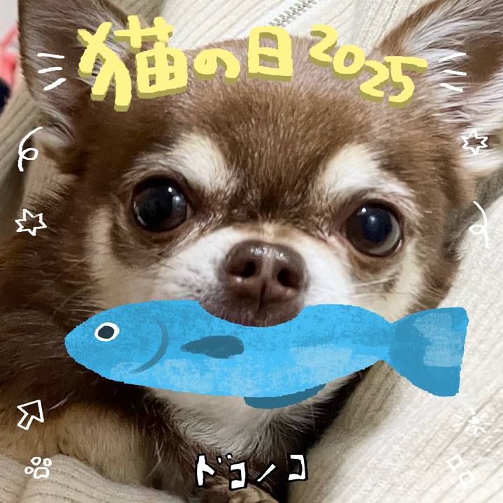 8632c2fd 002f 45dc b41c 35077f1382d5 1740110291767