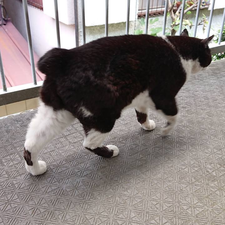 86333344 38a2 43ff 8aa5 fd6b4b41d4d3 1653704964732