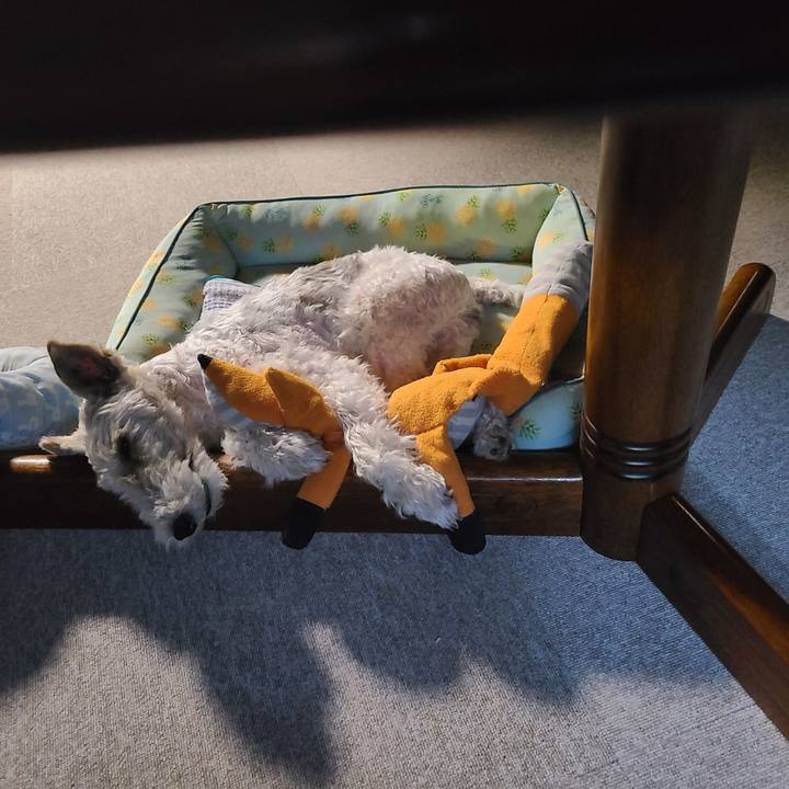 86335908 0c7b 4531 8ed3 bf864088feab 1659912877991