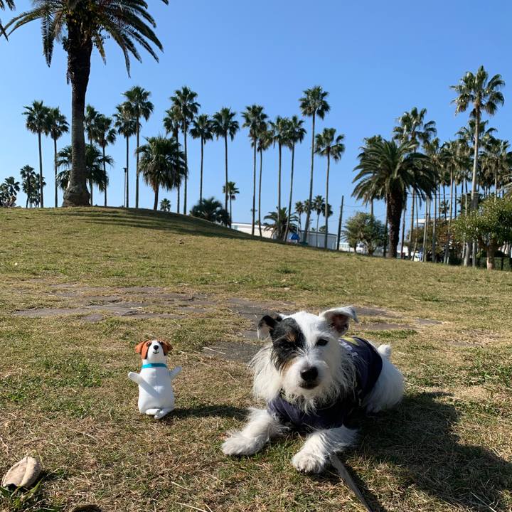 86336ad7 89bc 490a b94b 4d071f9e3dcd 1668216039660