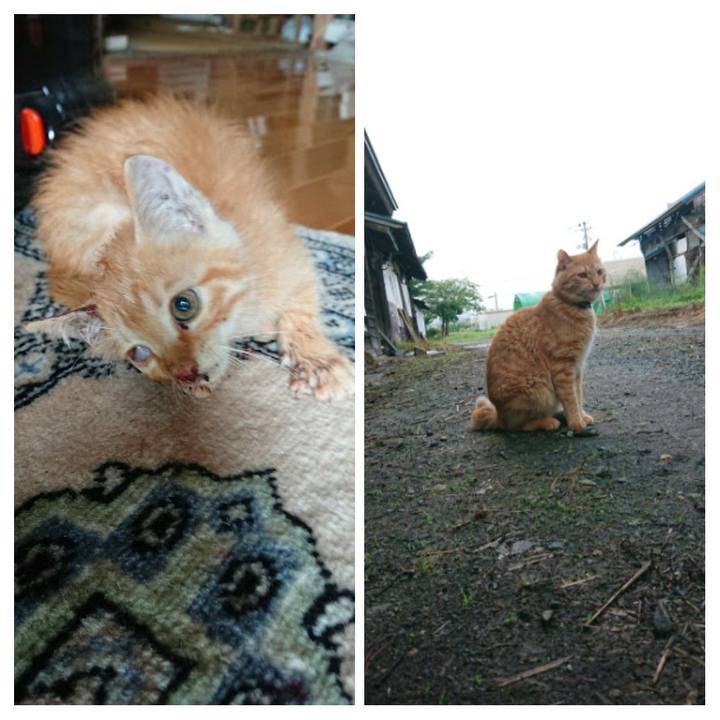 8633a7fc 0132 4e4c 887e 6d96f244ca0f 1658782296386