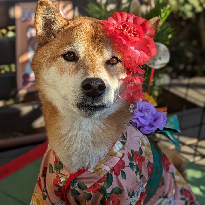 8633c6c9 1f3d 4fe6 b38f a423dc561999 1704522591273