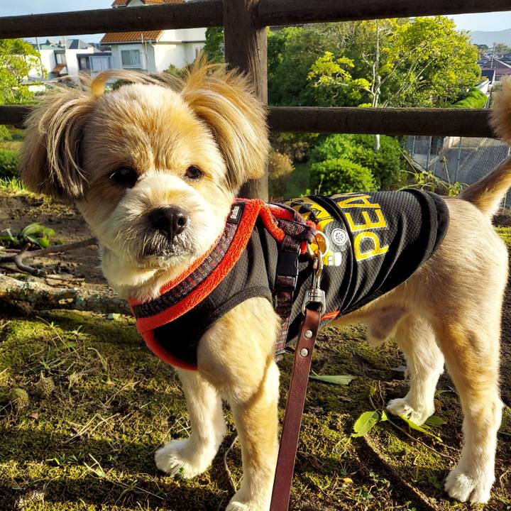 86340c17 e20b 4e2a 9fa0 2d7aa2f3b671 1663631220772