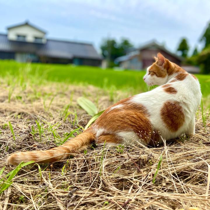 86341ed6 5cfd 430b bf65 5720cdffdae3 1592807471578