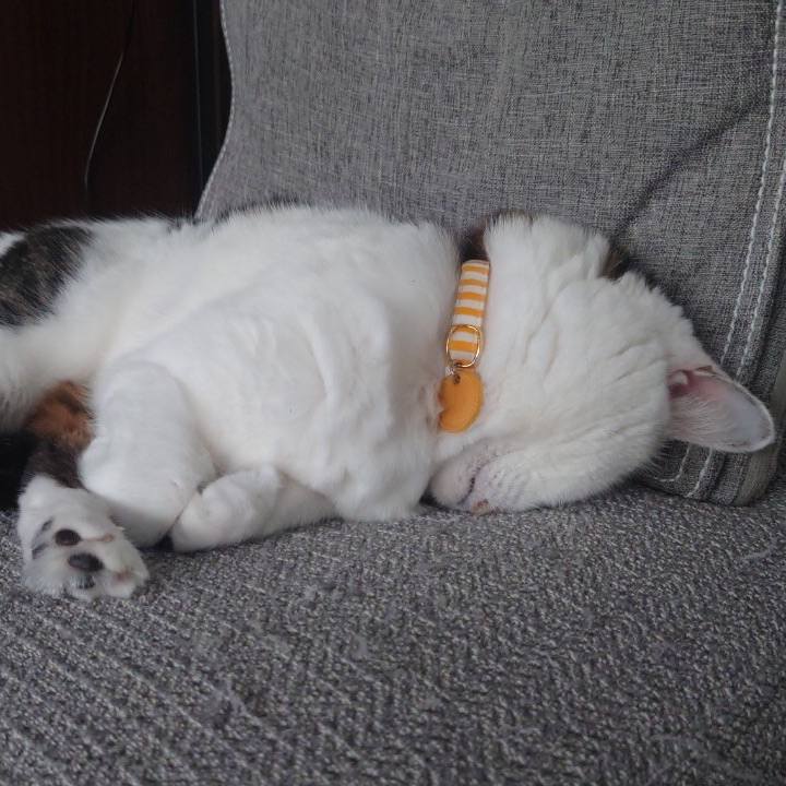 86345628 1d12 417c a53c f3c9d2561a57 1618218210734