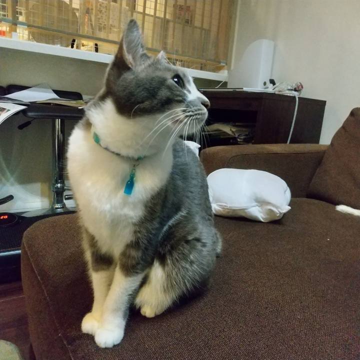 86345bc0 b24c 49b2 8f36 21972b80ed3f 1640901461731