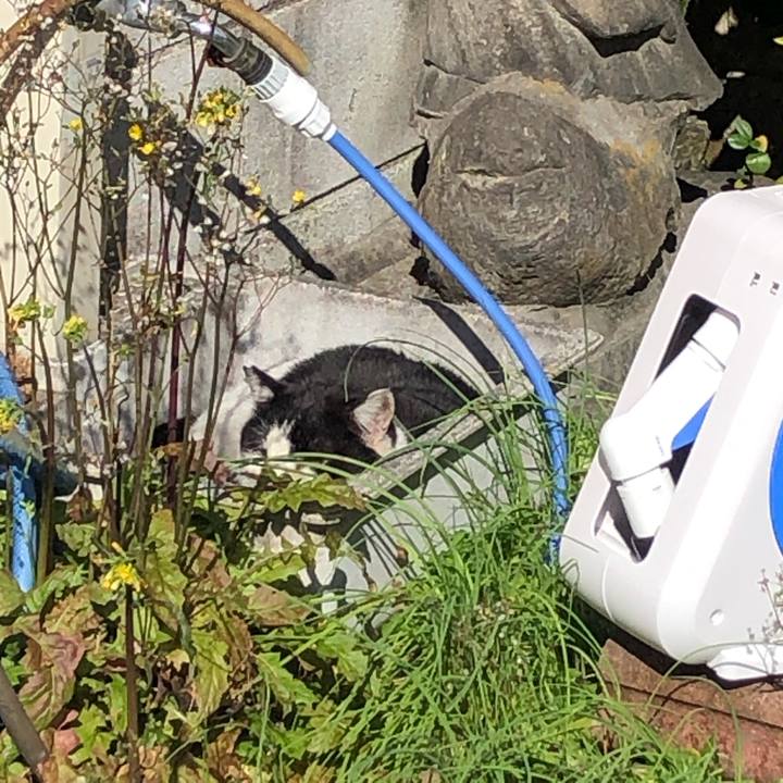 8634b3a4 2967 4725 85ec 6ca6ac995d8f 1617092044741