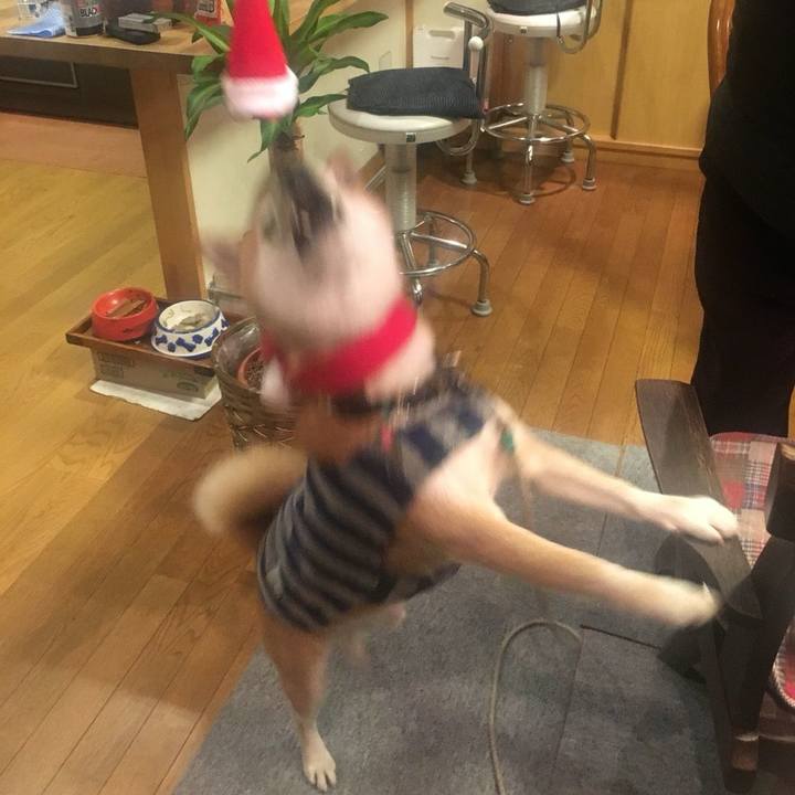 8634ffa9 dd36 474b 828c af5ed2ce9e28 1514102423577