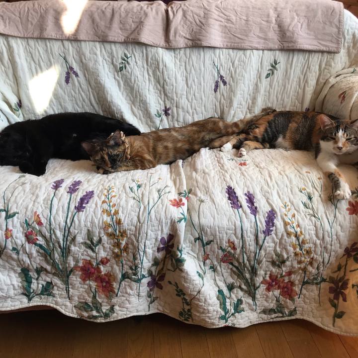 8635359a ddfa 40ec 82fa 10ddfc214b71 1648783732682