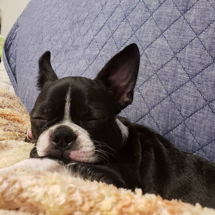 863537a3 f605 42c7 85b5 fc7e55ad9fd2 1544077582909