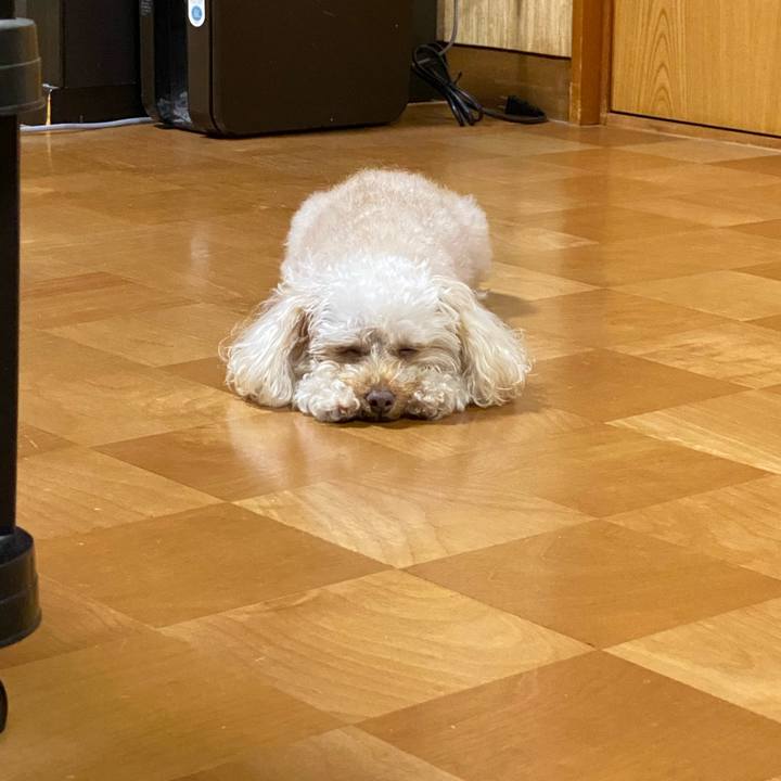 86354d10 48ee 4e49 a6a9 5ac140e13ec4 1621462951742