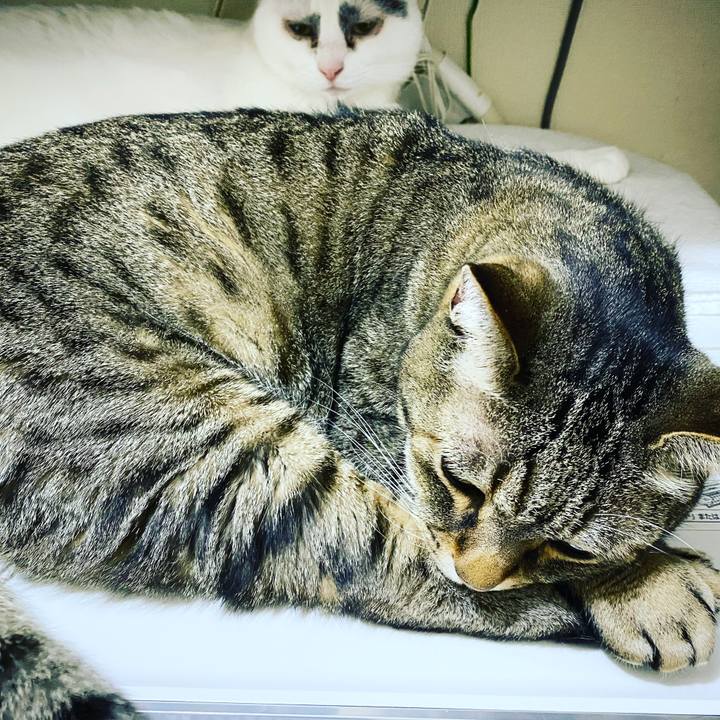 8635612f c43d 46e8 8b1e 582ca19e94bd 1616661189669