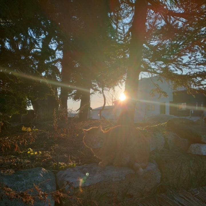 86357f86 5720 4fb3 a60f e5a260e8aeff 1704408070506