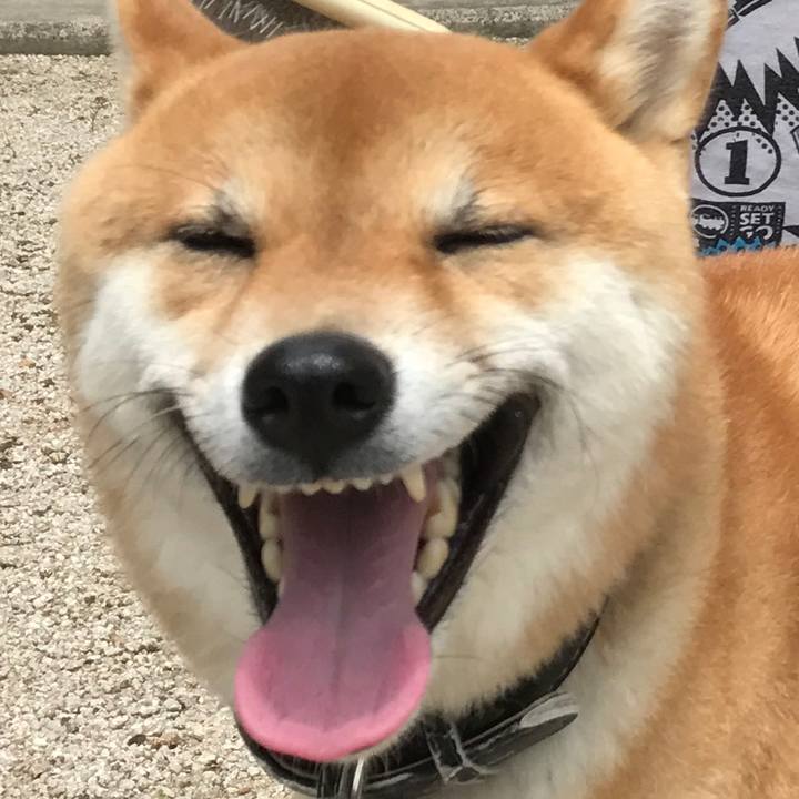 86358879 befe 4f5c 9021 8ded59f2f154 1528280406270