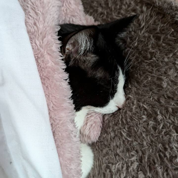 86359ae1 fd3f 4af8 89d9 9cc381f8ebac 1738035592453