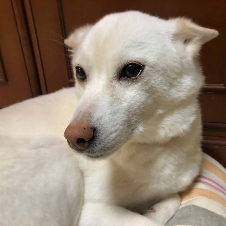 8635a3e7 1673 4d08 b0cd 6cfb2552811f 1586610834242