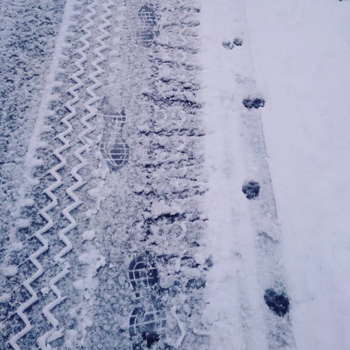 8635cf69 b9e4 4cbe 9b39 142e5c1adfe3 1548021671026