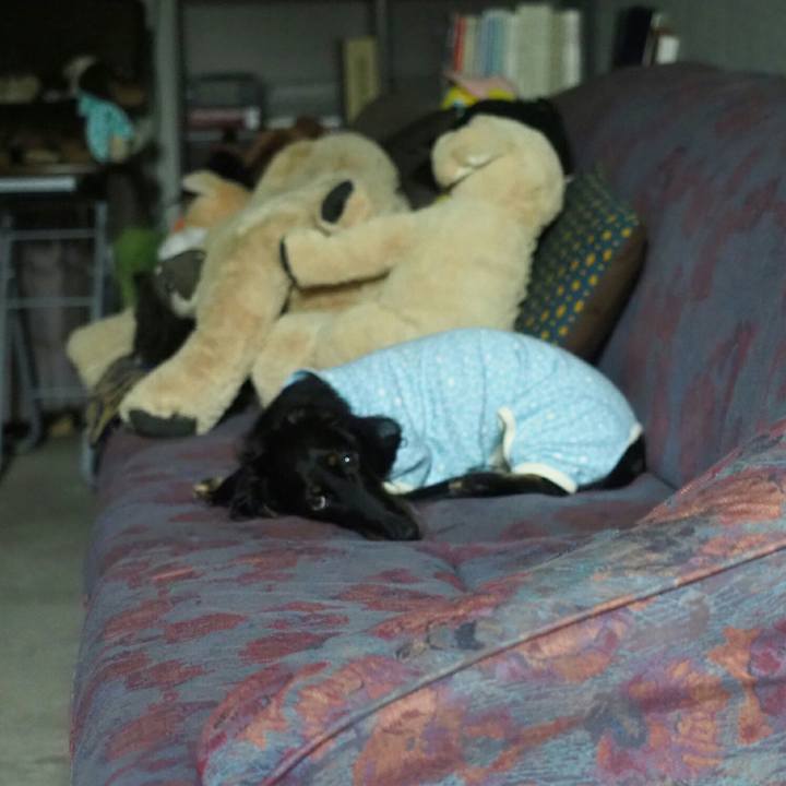 8635d535 3c3f 4780 b397 48747a8f9fe8 1562249068655