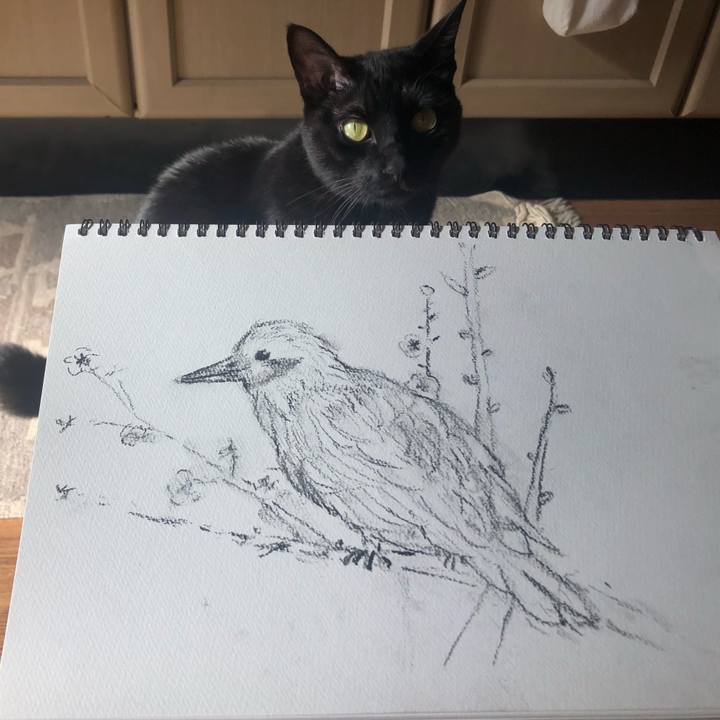 8635e99a cddf 4062 95d8 3077b7aefbba 1606009098232