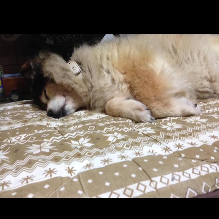 8635f79e b8c6 459d 9bc5 50d8b3aab520 1580065465925