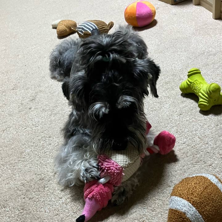 8635fdd3 3a2d 4d74 a5bf 5193463d7ecd 1719122029711