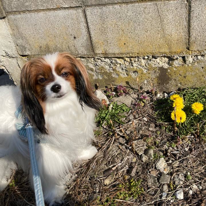 86362db6 2df0 4ded 8dc6 1fb21f75efba 1680517778396