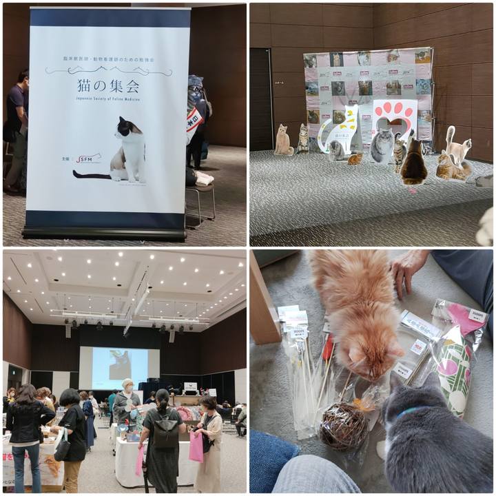 86365a98 299e 4acb 9eb9 db07f49ded1d 1655017286674