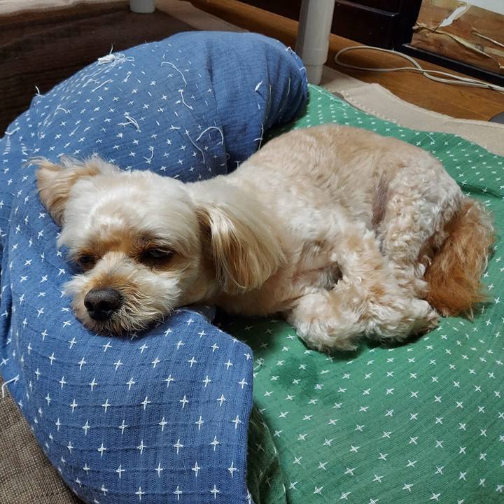 86367bbe 2ade 435c 93f4 430dfaba2749 1627518955648