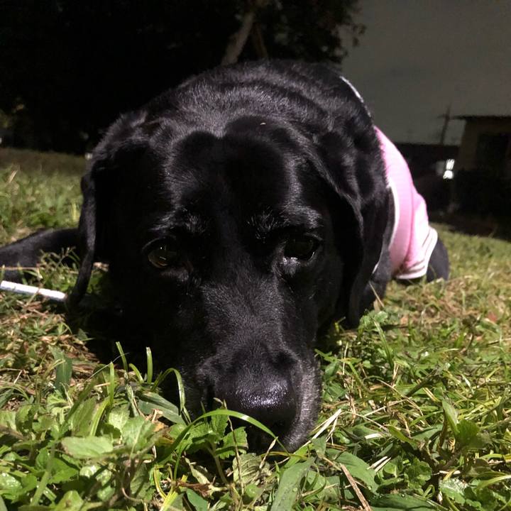 8636b269 a5de 4896 a1f2 5bc42f47a863 1540464300805