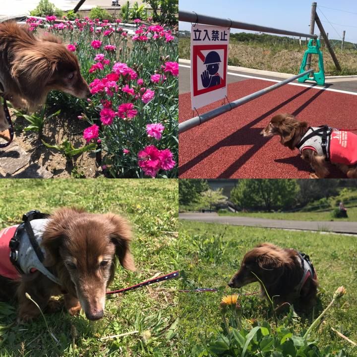 8636c978 35ac 4693 a169 cfa931e1194a 1588169264662