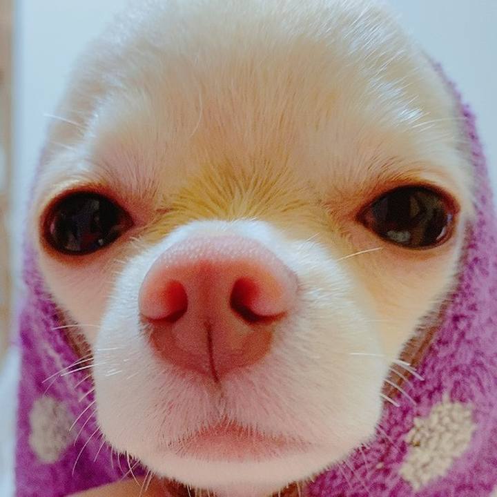 8636cdfc 5c37 4d6c a67d 99b6696246d6 1621255904657