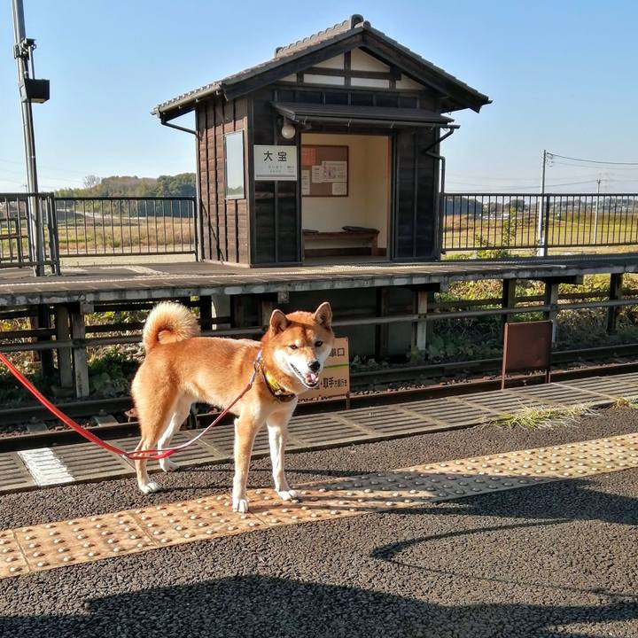 86373407 a6ea 499b 9295 950f0181e0d5 1636901295875