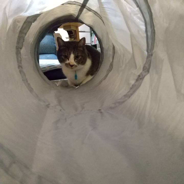 8637426d dca2 4bb3 9480 c79f36dee5e4 1633435581969