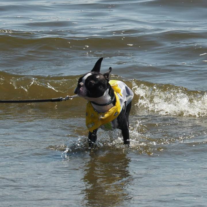 86374b47 0014 453f 9ee6 8f471f7a5860 1528003801146