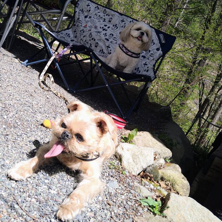 86374d52 70b3 4348 a67a 6d7a06e69519 1651963322010