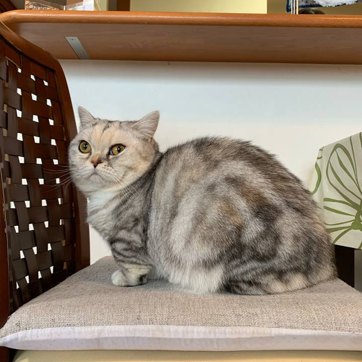 86374e4d 0b9a 4503 87a8 68391ec33c77 1708822137971