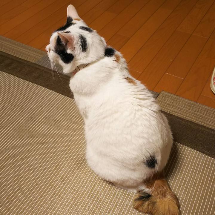 863760ab ce62 45bb b348 2b49ce510d9e 1563103172067