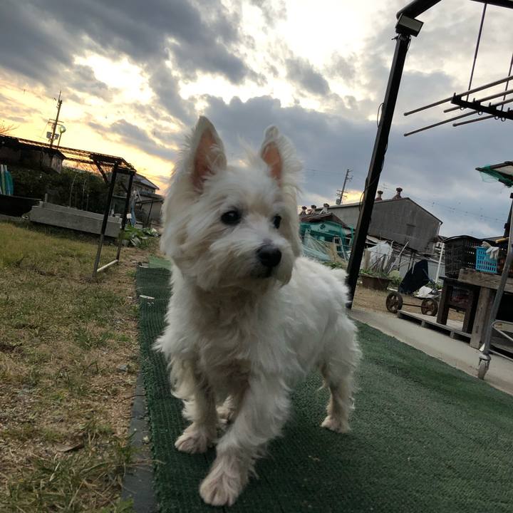 86376f3b 53da 40f9 9984 c01d50a43cb3 1546433415904