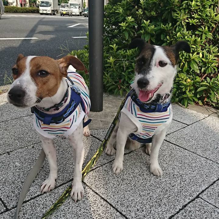 863783a7 30ba 4414 af9a 4be64ec7c172 1532641380005