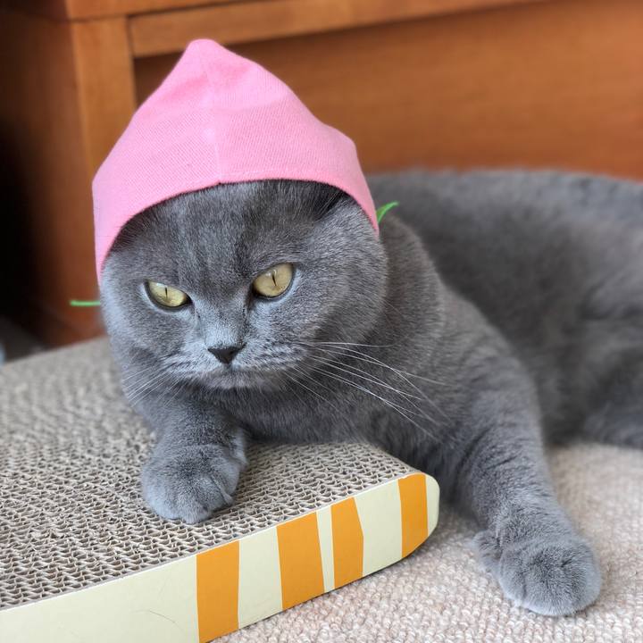 8637d741 e3b7 47db a9e1 966c321f1179 1527985929493