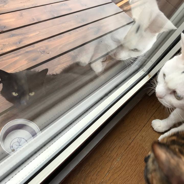 8637da2b 4f06 4895 a4be 47cf3c1bc63f 1626900546940