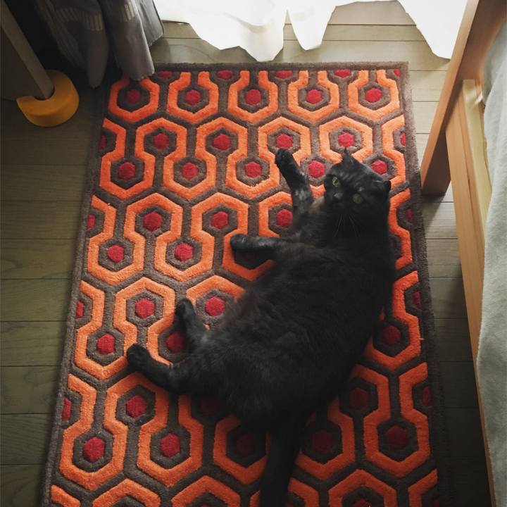 8637e6ed 1ffb 4ce2 bd4b 391f2502b558 1556334766839