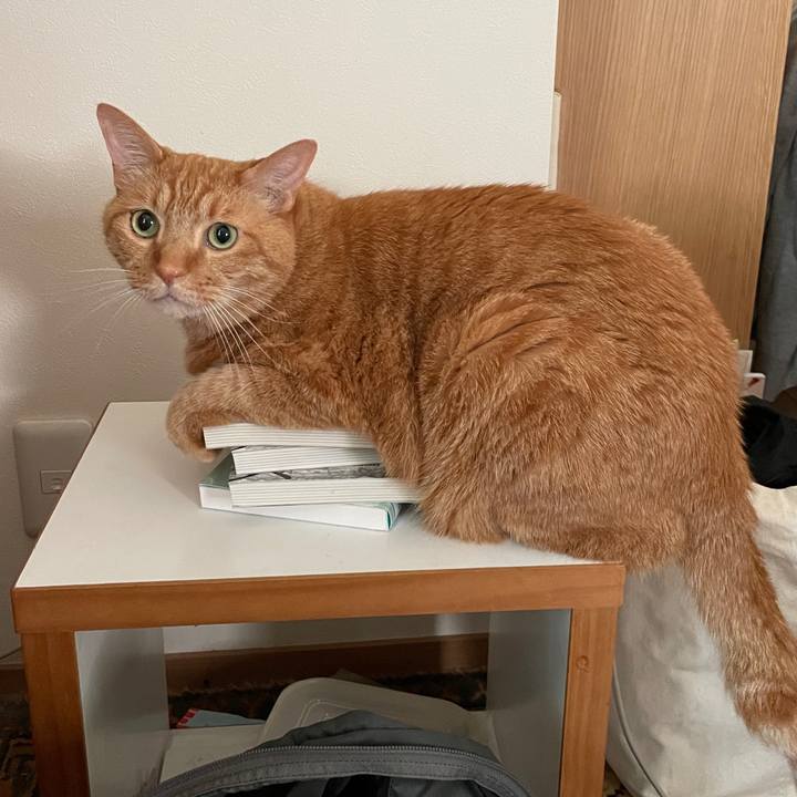 8637e71b 924a 4659 85cc c307aea836b7 1717420900509