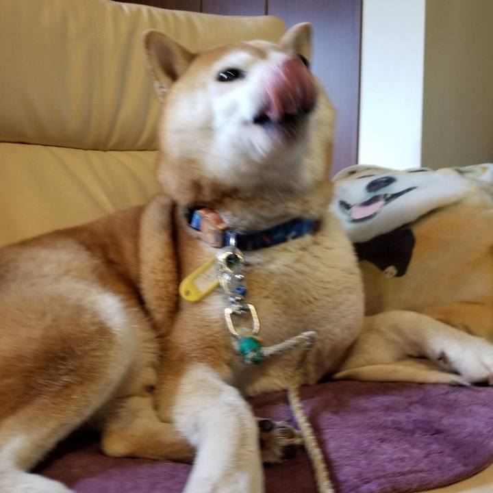 8637ea75 3f3e 453a ad46 c770364d2df6 1573858402067