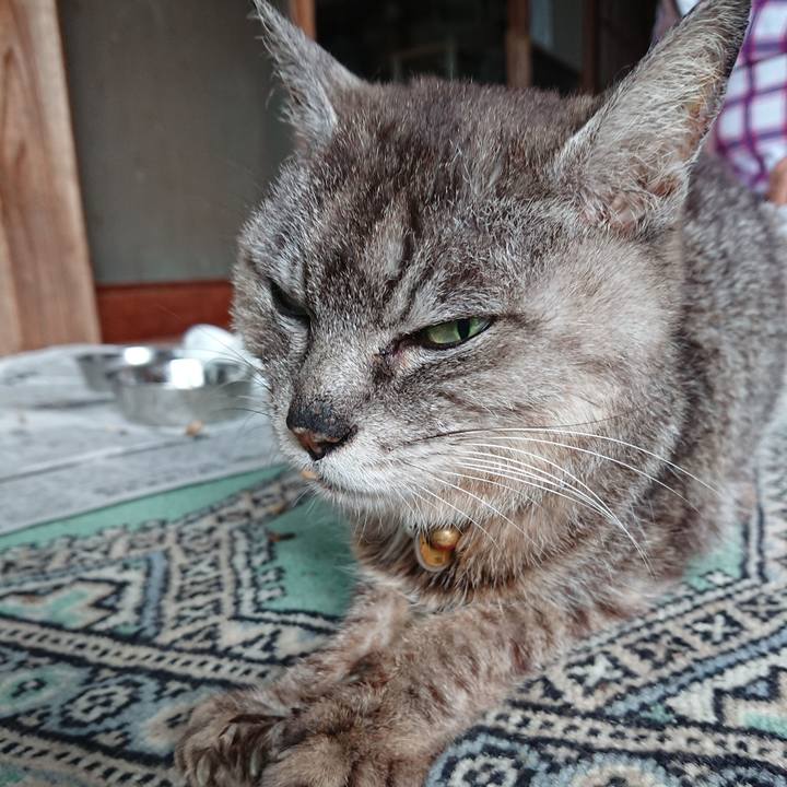 8637ef9e 8d65 4128 bcac 9d004b1fd1ac 1598915037980