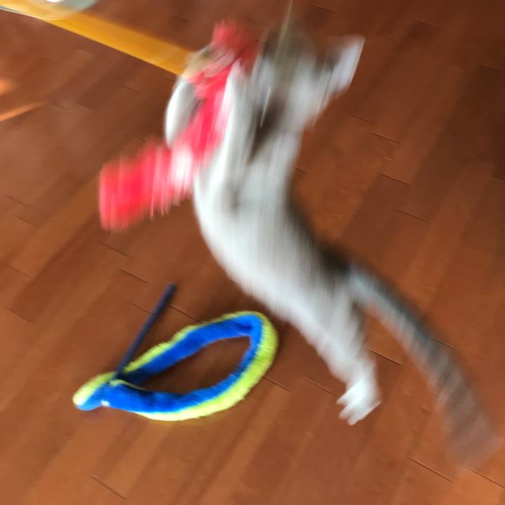 8637f073 f52a 46b8 8a0e 5fdb754828b3 1518399934153