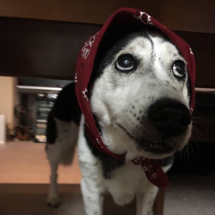 86384822 e02f 44a9 a11d 1d95ced59ab4 1690880873626