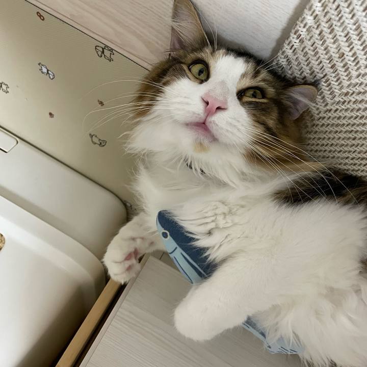 863853f3 61c3 4191 a357 498cd25cde0a 1656971530497